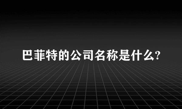 巴菲特的公司名称是什么?