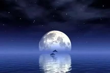 千江有水千江月，万里无云万里天。