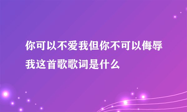 你可以不爱我但你不可以侮辱我这首歌歌词是什么