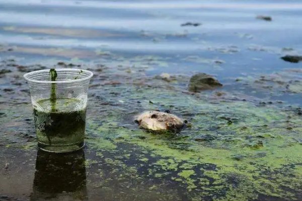 工业革命后气候变化的主要原因
