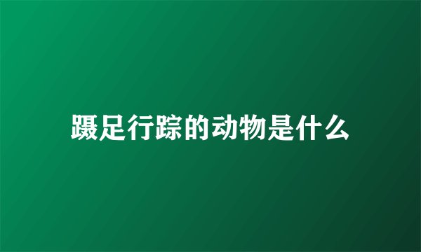蹑足行踪的动物是什么