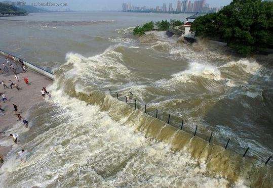 钱塘江潮水形成的回头潮，为何会打翻几位观潮的群众？