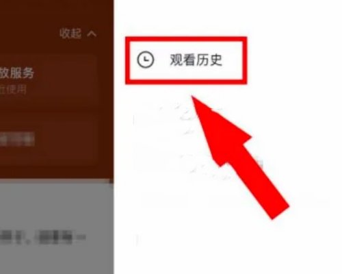 播放看过的历史视频怎么找