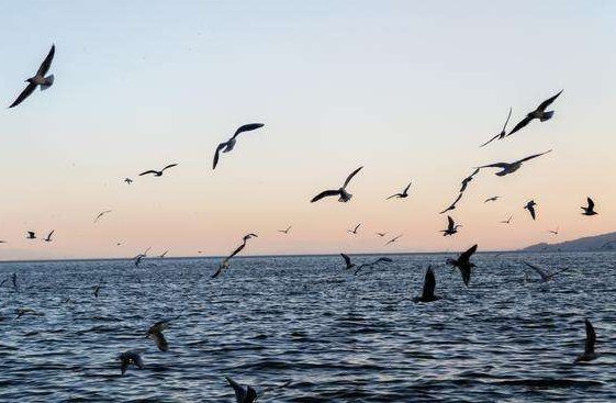 描写湖面平静的段落