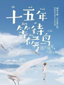 悼念我们失落的青春:十五年等待候鸟 结局