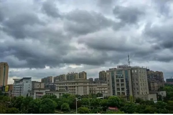 杜苏芮的读音是什么