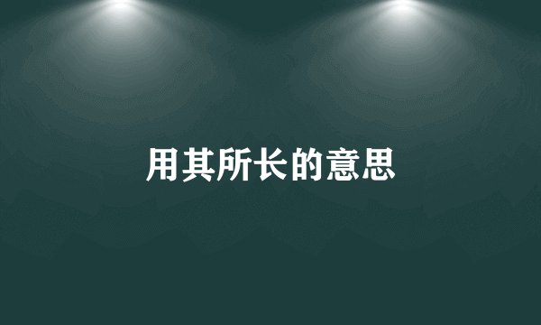 用其所长的意思