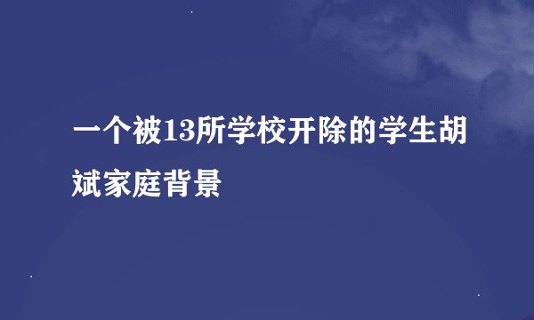 一个被13所学校开除的学生胡斌家庭背景