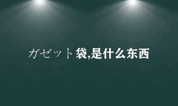 ガゼット袋,是什么东西