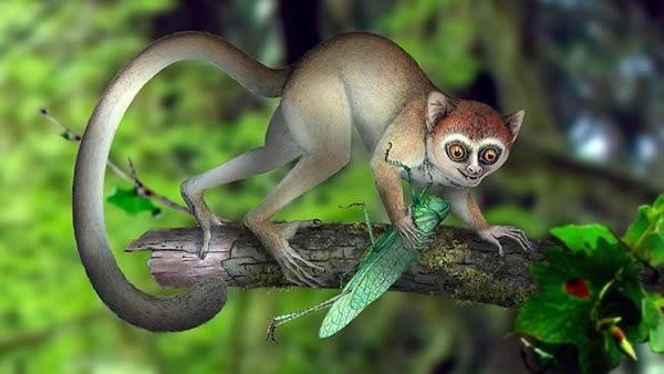 一三全四中本期代表什么动物