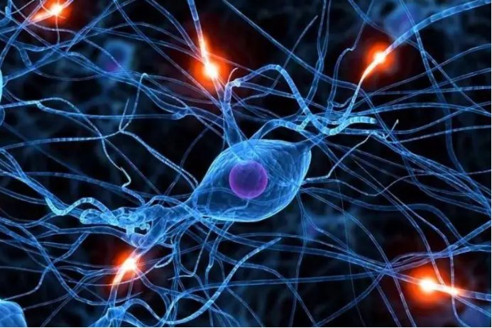 feel过去式和过去分词形式