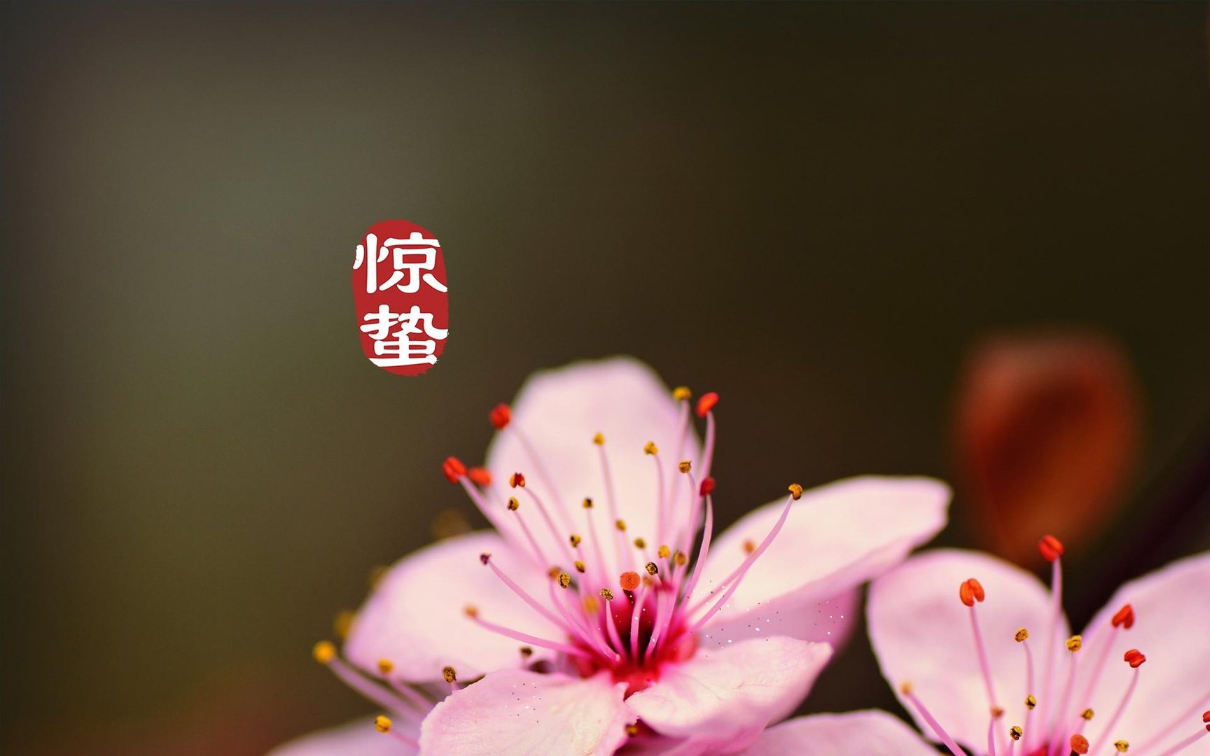 惊蛰代表的寓意