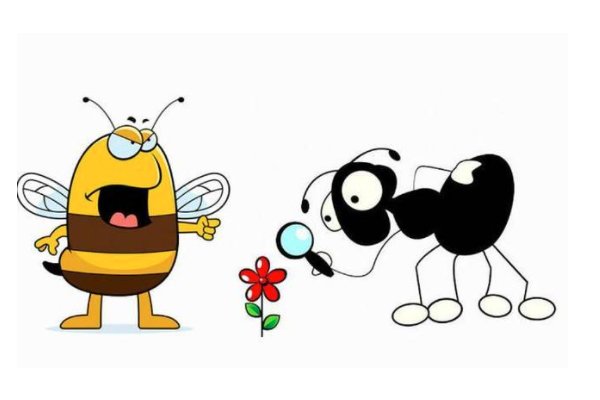 蜜蜂和蚂蚁的故事告诉我们什么道理?