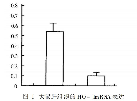 血红素加氧酶的介绍
