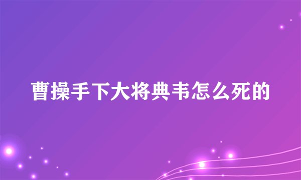 曹操手下大将典韦怎么死的