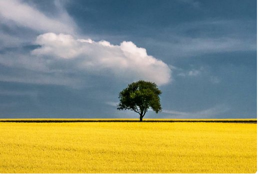 尽人事，听天命的意思是什么？