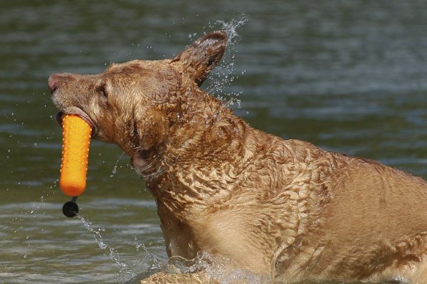 为什么要说你为什么这么叼？