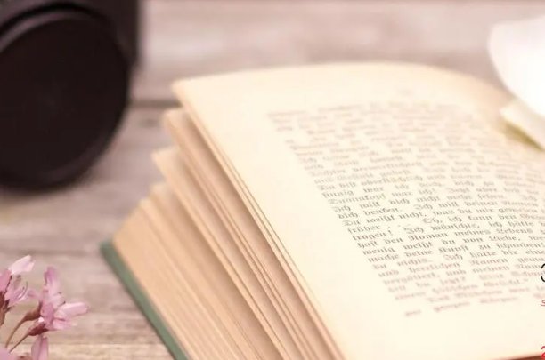 貌不惊人打一正确动物