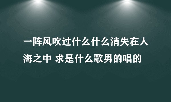 一阵风吹过什么什么消失在人海之中 求是什么歌男的唱的