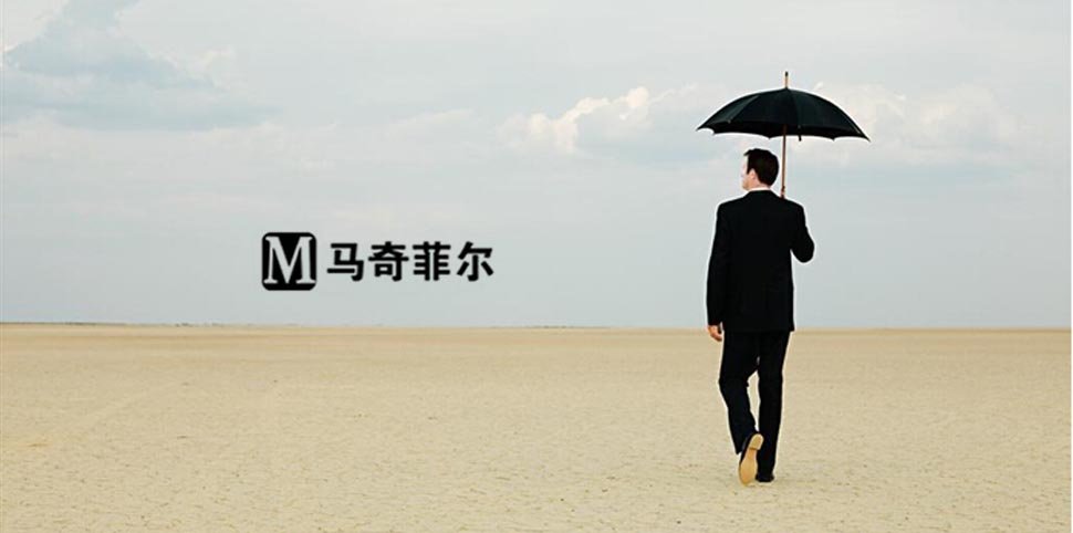 马奇菲尔的价值观