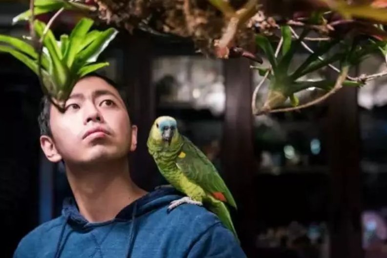 王昱珩高考成绩多少