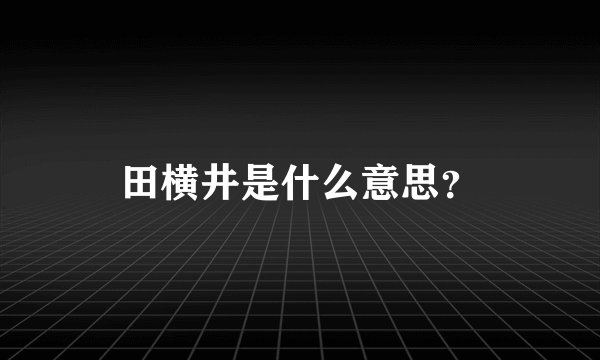 田横井是什么意思？