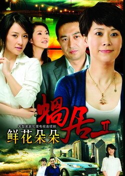 蜗居2鲜花朵朵的主演介绍