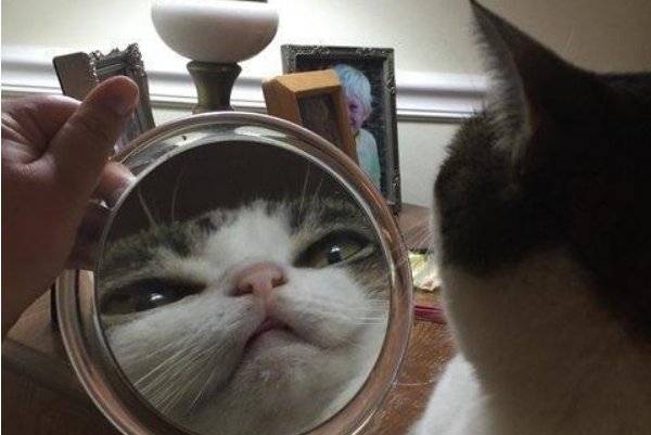 看着镜子我们是怎么结合的