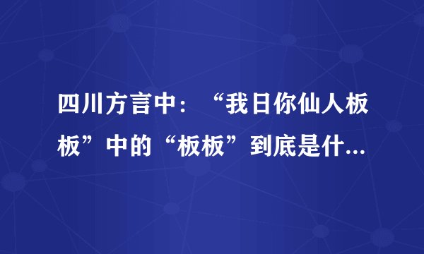 四川方言中:“我日你仙人板板”中的“板板”到底是什么意思??求解???