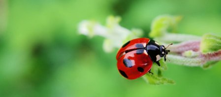 徐娘半老风韵犹存啥意思