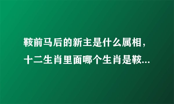 鞍前马后的新主是什么属相，十二生肖里面哪个生肖是鞍前马后表忠贞？