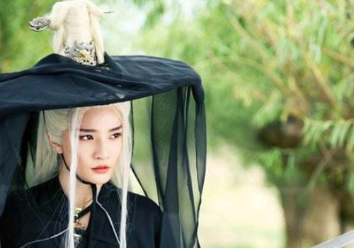 新边城浪子演员表介绍