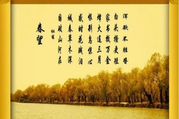 杜甫的爱国诗句