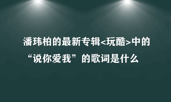 潘玮柏的最新专辑<玩酷>中的“说你爱我”的歌词是什么