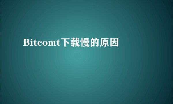 Bitcomt下载慢的原因