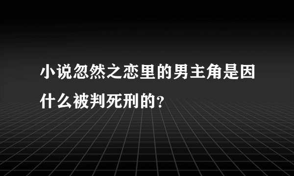 小说忽然之恋里的男主角是因什么被判死刑的？