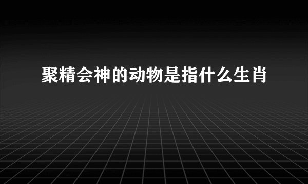 聚精会神的动物是指什么生肖