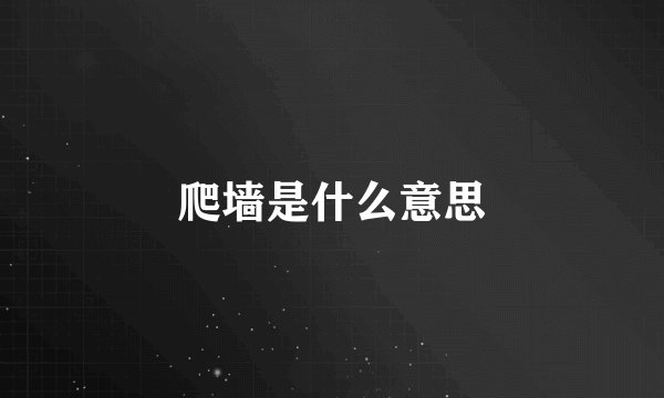 爬墙是什么意思