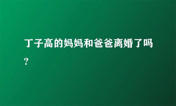 丁子高的妈妈和爸爸离婚了吗？