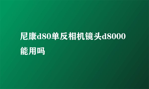 尼康d80单反相机镜头d8000能用吗