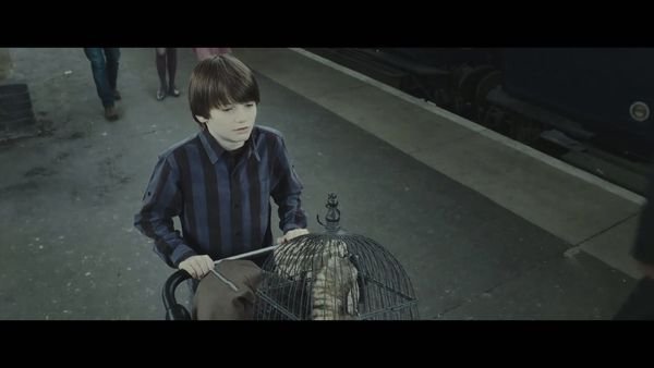 哈利波特的儿子图片