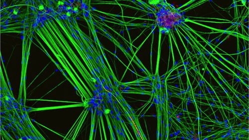 宏观世界五光十色，微观世界是否同样绚丽多彩？