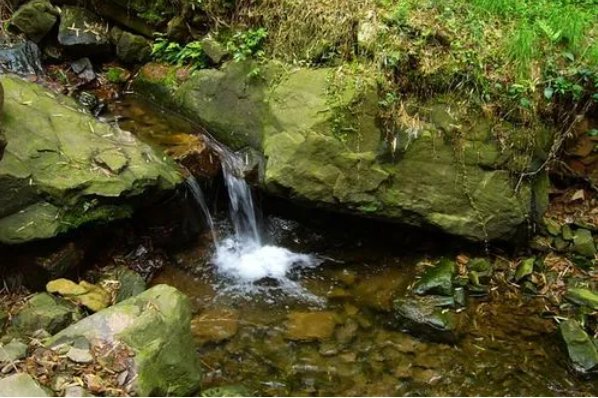 清逸翛然什么意思