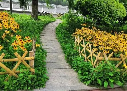 奈思的意思是什么?