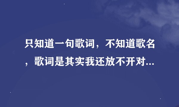 只知道一句歌词，不知道歌名，歌词是其实我还放不开对你的思念