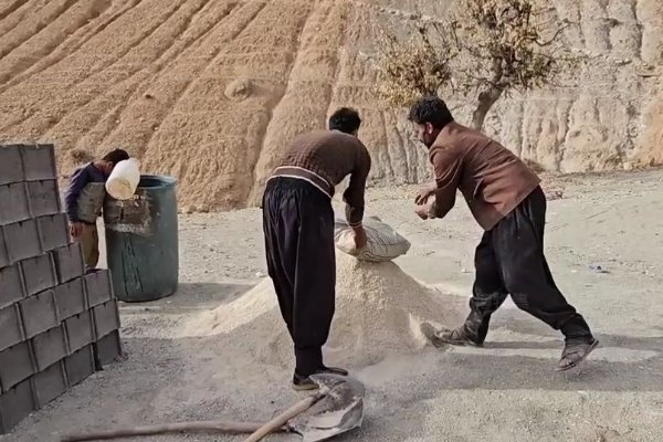 哈米德三兄妹最后大结局