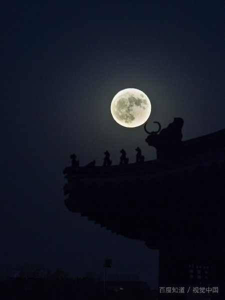 月亮不睡我不睡 我是秃头小宝贝下一句