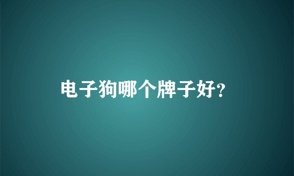 电子狗哪个牌子好？