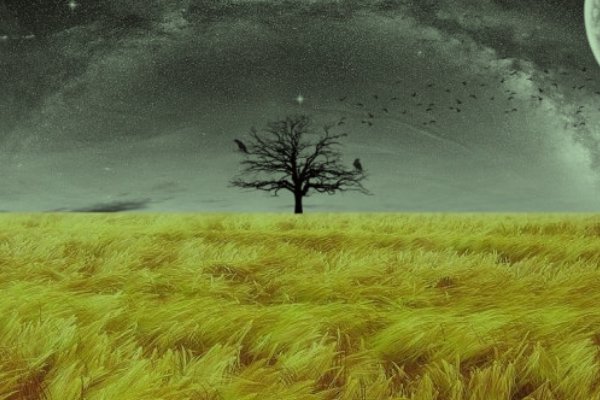 接地气什么意思?