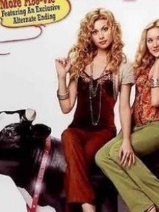 奶牛美女的影片评价